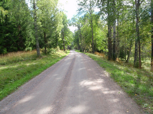 Sweden bicycle tour.
